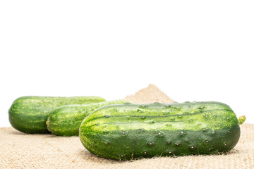 Group of three whole fresh green pickling cucumber on jute cloth isolated on white background