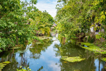 Obraz premium A small canal with trees on both sides