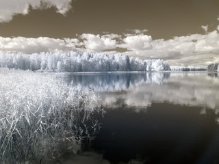 infrared photo, white trees amazing nature lake with reflection and beautiful clouds, Infrared photo taken by a special modified camera with infrared filter, Vaidavas lake, Latvia