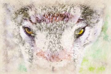 Naklejka na ściany i meble Digital artistic Sketch of a Wolf