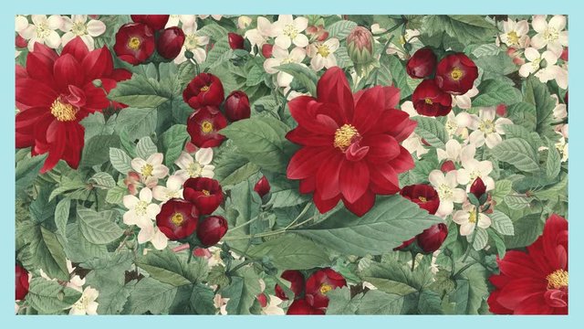 Red flower card, background
