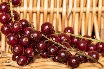 Lot of whole fresh dark redcurrant with braided rattan behind