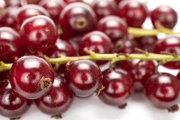 Lot of whole fresh dark redcurrant closeup isolated on white background