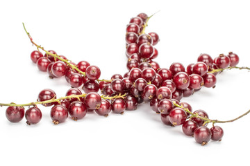 Lot of whole fresh dark redcurrant three clusters isolated on white background