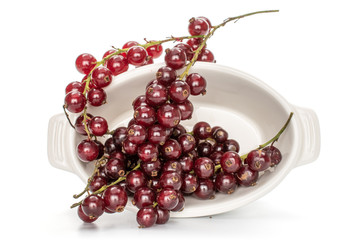 Lot of whole fresh dark redcurrant in ceramic stewpan flatlay isolated on white background