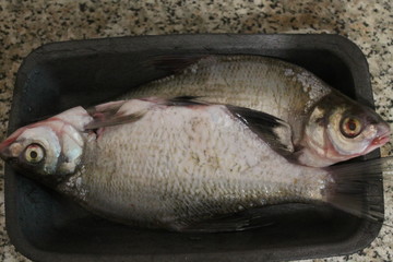 fresh fish on ice