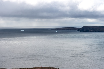 coastal Newfoundland

