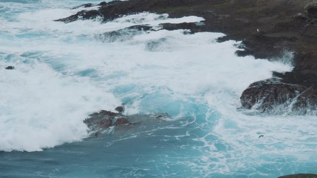 Vagues sur les rochers et les falaises, avec vols d'oiseaux