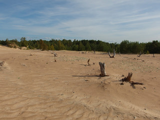 The deserted shore of Lake Peipsi.