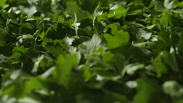 Traveling lent sur persil coup&eacute;