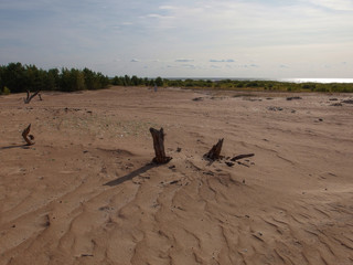 The deserted shore of Lake Peipsi.