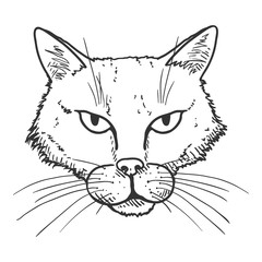 Vector Sketch Stray Cat Portrait. Feline Face Illustration.