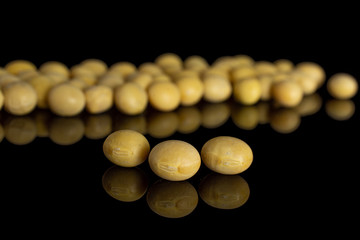 Lot of whole raw yellow soya bean three in focus isolated on black glass