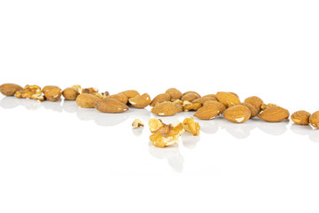 In row lot of whole brown almond nut isolated on white background