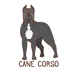 Isolated Cane Corso in Hand Drawn Doodle Style