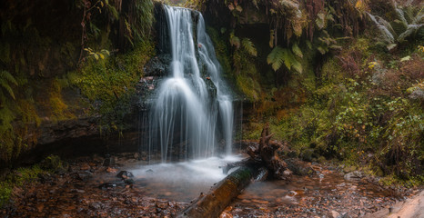 waterfall in the forest in autumn