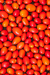 Detail macro view of dog rose hips (latin name Fructus cynosbati) prepared for drying. Dried rose hips are important source of vitamins in alternative medicine. Typical fall berry fruit