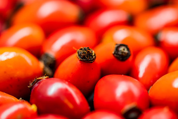 Detail macro view of dog rose hips (latin name Fructus cynosbati) prepared for drying. Dried rose hips are important source of vitamins in alternative medicine. Typical fall berry fruit