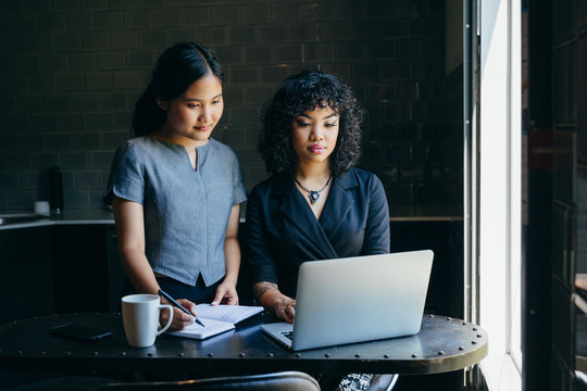Direct view of young women coworking in modern office workspace