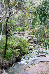 Araluen Botanical Park is located in a sheltered valley in the Darling Ranges approximately 30 kilometres south of Perth, Western Australia