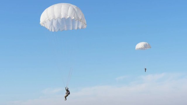 Military paratroopers landing on round parachutes on a rough field in autumn  