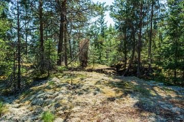 Obraz premium Ladoga lake- visit the national Park