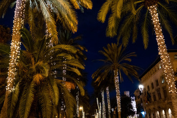 New Year decorated palm trees