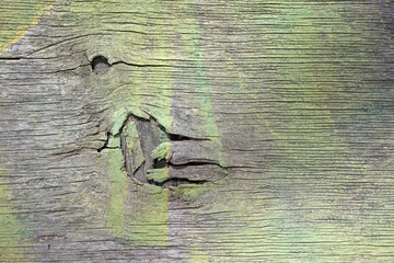 Weathered green shelf with a wood grain in close-up.