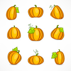 Yellow pumpkin set