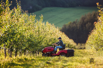 A mature farmer driving mini tractor outdoors in orchard.