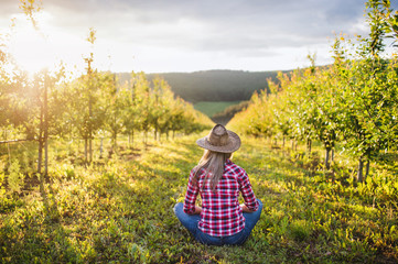 Fototapeta premium A rear view of female farmer sitting outdoors in orchard. Copy space.