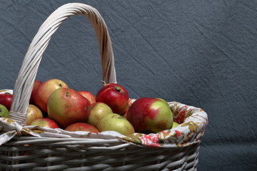A large wicker basket with ripe juicy apples. New crop. On a gray background.