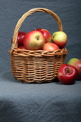 Wicker basket with ripe juicy apples. Nearby are a few apples. New crop. On a gray background.