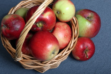 Wicker basket with ripe juicy apples. Nearby are a few apples. New crop. On a gray background. View from above.
