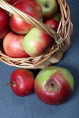 Wicker basket with ripe juicy apples. Nearby are a few apples. New crop. On a gray background. View from above.