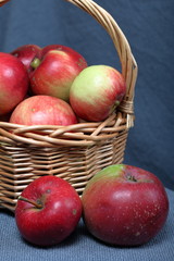 Wicker basket with ripe juicy apples. Nearby are a few apples. New crop. On a gray background.