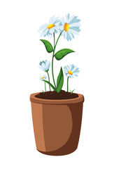 patch of houseplant in pot