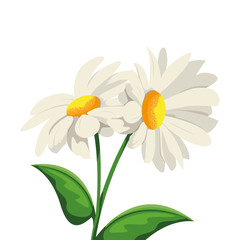 Naklejka premium Beautiful flowers design vector illustration