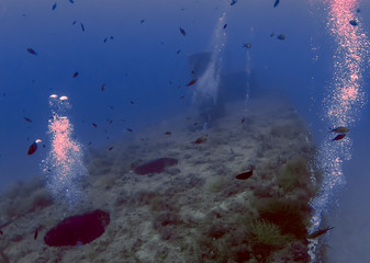 Wreck of the MV Cominoland off the coast of Gozo, Malta