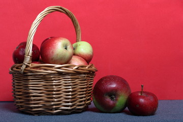 Wicker basket with ripe juicy apples. Nearby are a few apples. New crop. On a coral background.