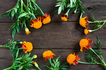 Frame of beautiful orange marigolds on a wooden background. Natural floral background