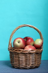 Wicker basket with ripe juicy apples. New crop. On a mint background.