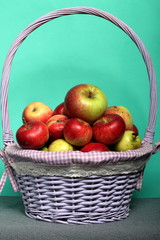 Wicker basket with ripe juicy apples. New crop. On a mint background.