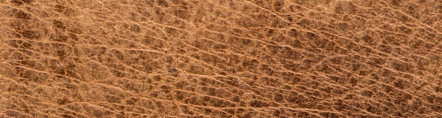 brown leather texture with space for your text