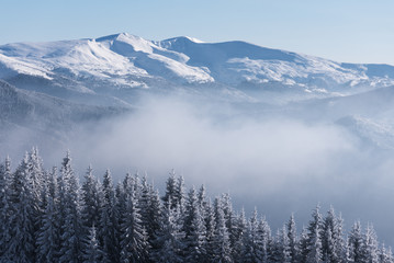 Winter in the mountains