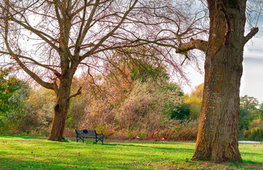 Obraz premium waiting for you