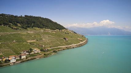Obraz premium vine terraces lavaux aerial view