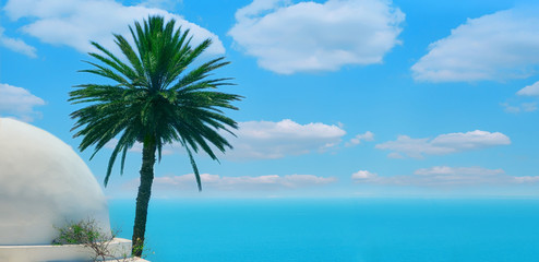 Sea, palm and clouds sky, copy space background. Arab marine landscape in Sidi Bou Said, Tunisia
