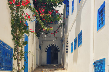 Yard with blue windows and doors with Arabic ornaments, Sidi Bou Said, Tunisia, Africa