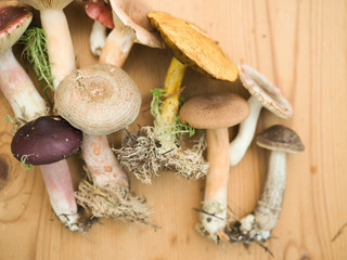 mushrooms lie on a wooden background.